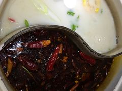 招牌有机黑鱼-七秒鱼·斑鱼火锅(太阳城店)