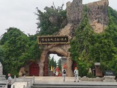 -大槐树寻根祭祖园