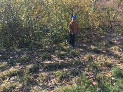 -永定河休闲森林公园