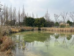 -白鹭湾湿地公园