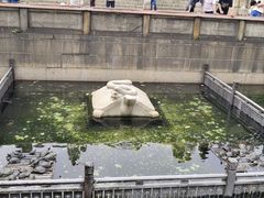 -佛山市祖庙博物馆