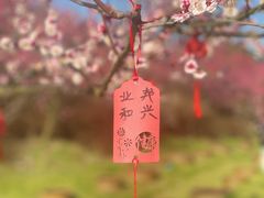 -花开海上生态园