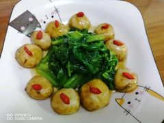 -鲸励母婴月嫂(望京店)