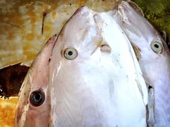 -尼甘布海鲜市场