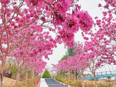 -盈香心动乐园