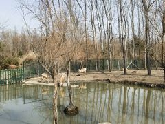 -溱湖国家湿地公园