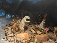 -陕西自然博物馆