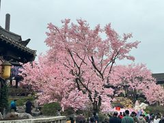 -茅山东方盐湖城景区