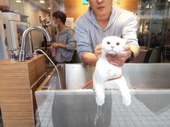 -PETKIT小佩宠物(古北店)