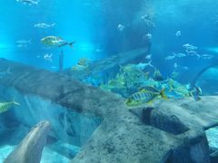 -福州罗源湾海洋世界旅游区