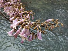 -成都市活水公园