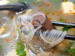 金牌鸭血粉丝汤-冯鑫记南京鸭血粉丝汤(南京南站店)