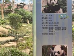 -石排湾郊野公园