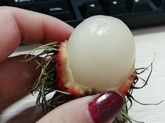 -洞天食府(北大街店)