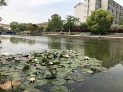 -江南大学(蠡湖校区)