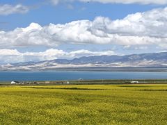 -青海湖国家重点风景名胜区