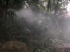 -成都市活水公园