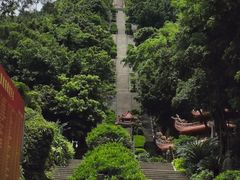 -青礁慈济宫