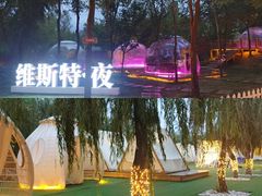 -维斯特·夜烤牛肋条任吃