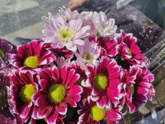 -循礼门鲜花花市(武汉循礼门店)