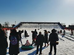 -绿野森林乐园冰雪季