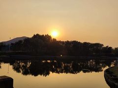 -羊亭河湿地公园