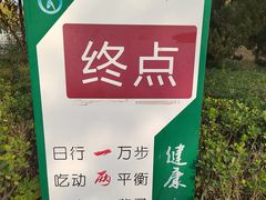 -大兴滨河森林公园