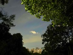 -莲花山公园