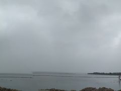 -合肥滨湖国家森林公园