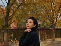 -三里屯东五街银杏大道