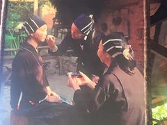 -呀诺达热带雨林