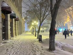 -哈尔滨中央大街华特酒店