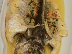 鸡汁大黄鱼-京味斋·烤鸭·北京菜(安贞店)