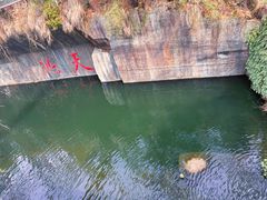 -千岛湖东南湖区