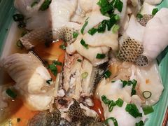 -大榕树下顺德菜(融创茂店)