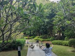 -南宁荔园维景国际大酒店·荔园中餐厅