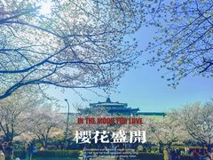 -武汉大学-樱园