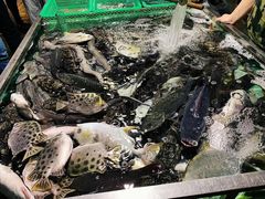 -都斛海鲜街