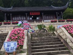 -苏州上方山国家森林公园