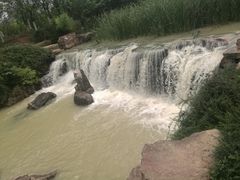 -天鹅湖体育公园