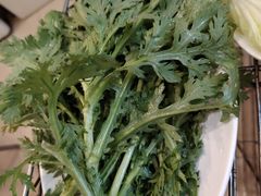 -蜀皇·菌汤鲜黄牛肉汤锅(宽窄巷子店)