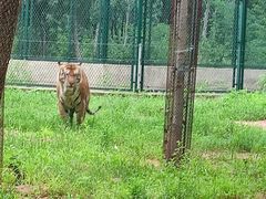 -秦皇岛野生动物园