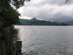 -杭州西湖柳莺里酒店·闻莺厅