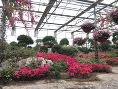 -南通洲际绿博园