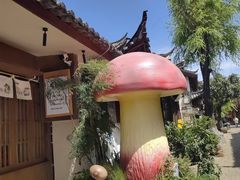 -菌自由丨野生菌火锅特色庭院餐厅(丽江古城店)
