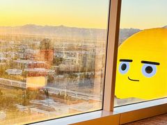 -拉斯维加斯永利酒店