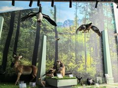 -房山世界地质公园博物馆