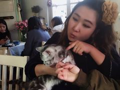 -海边的猫和咖啡馆