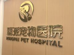 -瑞派康怡24h宠物医院·犬猫医疗中心·微创绝育(瑞景分院)
