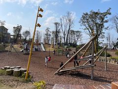 -铁山坪森林公园